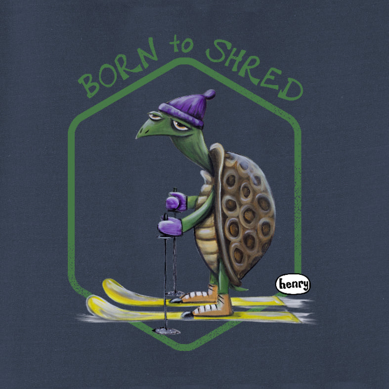 Turtle Skiing - 